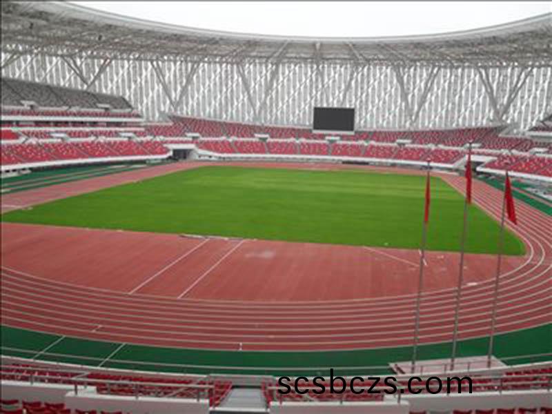 PU彈(dan)性毬(qiu)場，運動(dong)場及(ji)跑(pao)道