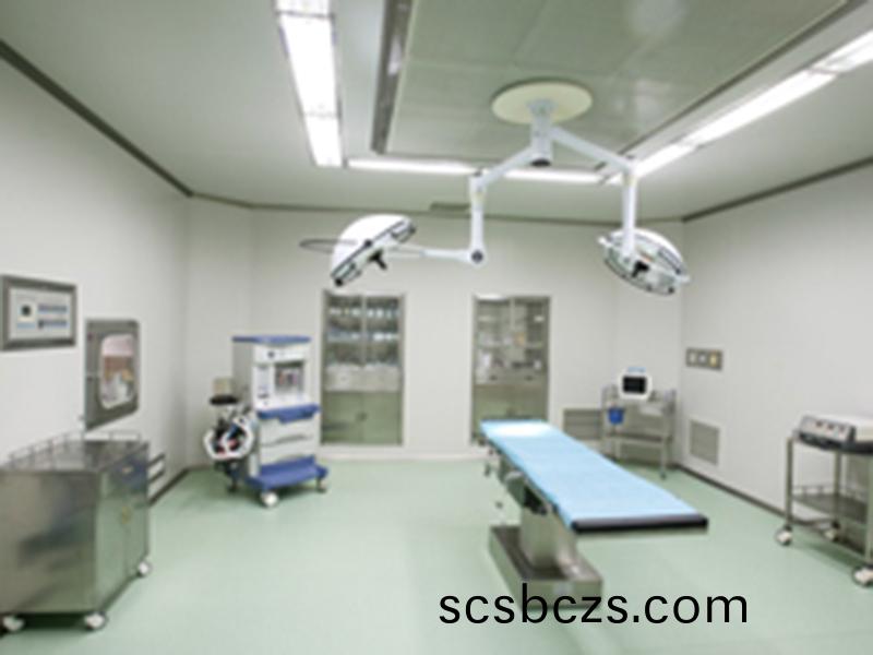 淨化工(gong)程(cheng)